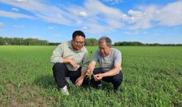 农林在线观看,农业科技与农村发展的前沿视角