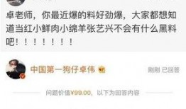 卓伟爆料娱乐圈所有事,娱乐圈风云再起，揭秘幕后真相