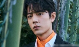 肖战圈内人爆料完整版,揭秘娱乐圈不为人知的真相与内幕