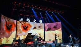 新年演唱会爆料新闻稿件,精彩阵容与幕后故事大揭秘