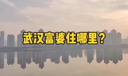 武汉房产最新爆料,揭秘最新房产爆料背后的市场趋势