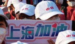 辽宁援沪爆料视频,逆行者的坚守与担当