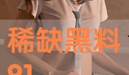 乱论在线观看,揭秘网络辩论的狂欢盛宴