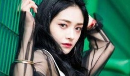 娱乐圈爆料周洁琼视频,娱乐圈背后的真实瞬间