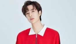 娱乐大爆料圆脸小花,揭秘明星幕后故事