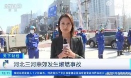 记者爆料新面孔视频播放,神秘人物引网友热议