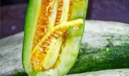 免费吃网红瓜群,免费加入吃瓜群，畅享娱乐圈最新资讯