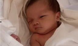 小猪哥爆料韩安冉视频,揭秘网红背后故事