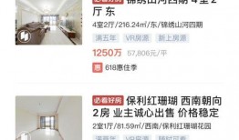 深圳网友彭先生最新爆料,揭秘最新热点事件内幕