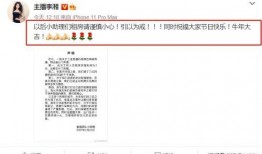 韦丹丹爆料记录最新视频,事件真相与幕后黑手