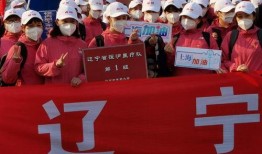 辽宁援沪爆料视频,逆行者的坚守与担当