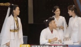 陈洁莹吃瓜爆料黑料免费,揭秘娱乐圈黑料背后的真相