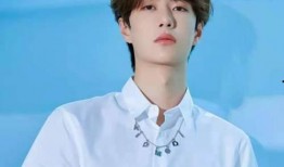 圈内人爆料王一博,揭秘娱乐圈新晋顶流背后的故事