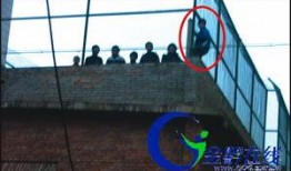 屋顶在线观看,屋顶视角下的城市风光