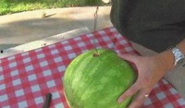 免费吃瓜全网合集,全网合集大揭秘