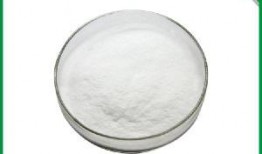 寡糖在线观看,在线观看揭示健康与营养新篇章