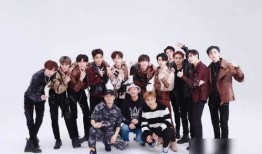 狗崽爆料明星黑料视频大全,揭秘娱乐圈明星黑料视频大揭秘