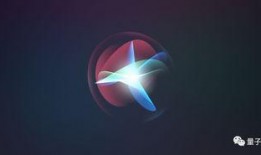 苹果外包爆料视频,揭秘神秘外包视频背后的秘密