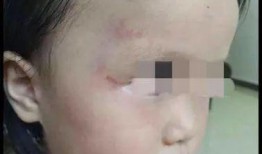 衡阳被骗爆料事件最新进展,受害者人数激增，警方全力追查中