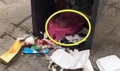 西安垃圾桶爆料案件最新,揭秘背后真相与法律追责