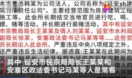 陕西爆料笑话视频,笑料百出，本土方言魅力无限