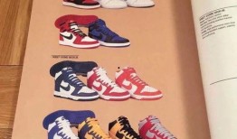 最新爆料最新鞋子图片,揭秘最新爆款鞋子图鉴