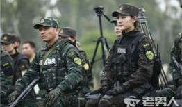 利刃出击全集在线观看,揭秘特警精英的惊险历程